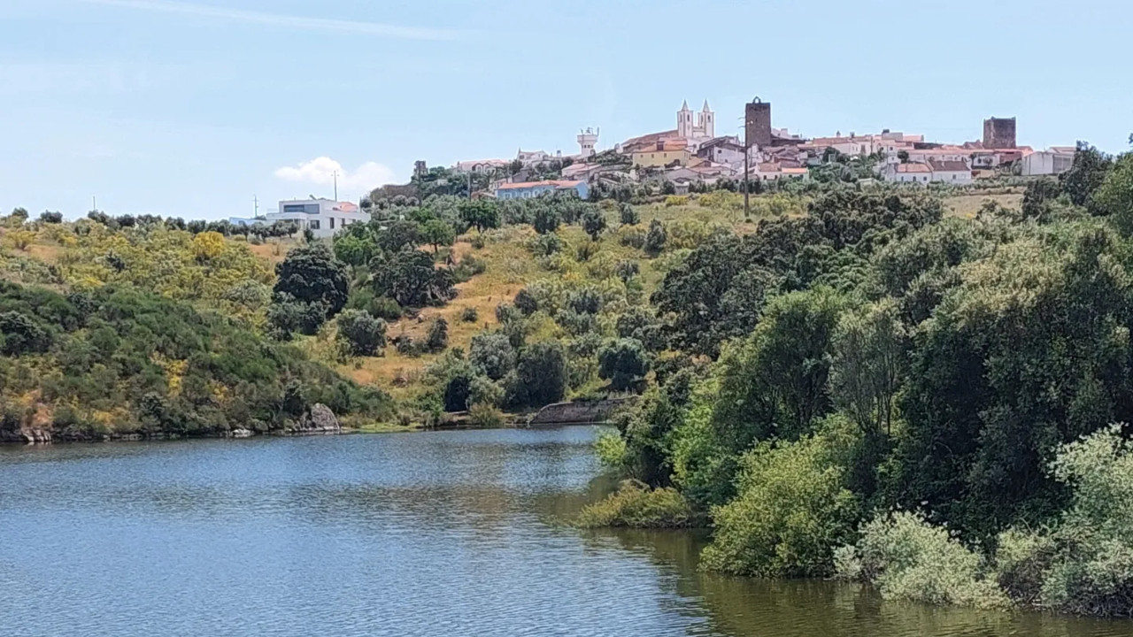 Vista geral de Avis